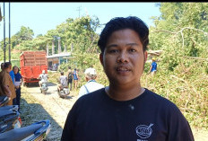 Motor Rusak Ditimpa Pohon Tumbang, Korban Minta Ganti Rugi