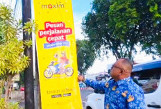 Perketat Kenataan Ruang Publik, Satpol PP Kota Bengkulu Gencar Tertibkan Reklame Liar