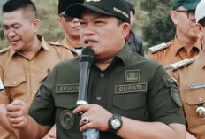 15 Penyuluh Pertanian Pertanyakan SK Fungsionalnya, Begini Jawaban Bupati Seluma