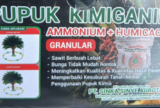 Pupuk Kimiganik, Solusi Kelangkaan Pupuk Subsidi, Ini Keunggulannya