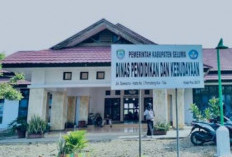 Dugaan Jual Beli Jabatan Kepsek di Seluma Menguat, Kasi PMPTK Dinas Dikbud Akui Hanya Terima Data