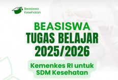 Buruan Daftar, Kemenkes Buka  Pendaftaran Beasiswa SDM Kesehatan  Untuk S1 Hingga S3, Cek Link dan Kriterianya