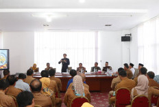 Pemkab Kaur Targetkan Festival Gurita 2026 Lebih Meriah, Sambal Langat Gurita Jadi Primadona 