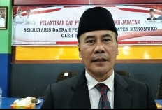 PPPK Mukomuko Cemas, Ada Isu Pemecatan, Marjohan:Itu Hoaks, Nasib Pegawai Aman