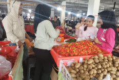  Harga Cabai Rawit di Bengkulu   Utara Naik Jelang Ramadan