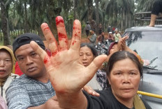 Makin Menegangkan, Warga VS PT Agricinal Bentrok, Beberapa Warga Terluka, Ini Pemicunya