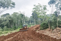 Pembukaan Jalan TMMD Sudah Capai Segini