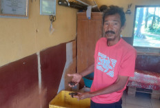  Rumah Konservasi Penyu   di Benteng Jadi Wisata Edukasi