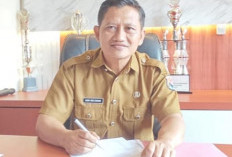  Harga Gabah Terus Naik Momentum   Tekan Alih Fungsi Lahan di Mukomuko