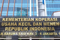 Kemenkop UKM Buka Lowongan Kerja, Butuh 3 Posisi, Penempatan di 18 Daerah, Diantaranya Bengkulu Utara, Buruan!