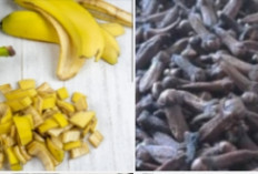Jangan Dibuang, Kulit Pisang Ditambah Cengkeh, Ampuh  Atasi Penyakit Ini 