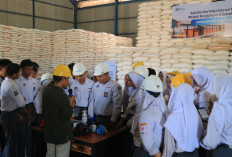 Pelajar “Intip Dapur Pangan”, Bulog Pastikan Stok Beras Bengkulu Aman