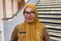 Satu Calon PPPK Paruh Waktu di Bengkulu Dinyatakan TMS, Tetap Bisa Bekerja di Pemda Provinsi Bengkulu 