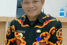 Penataan Pantai Panjang Dikebut, Sehmi: Wujudkan Kawasan Wisata Tertib, Nyaman, dan Berdaya Saing