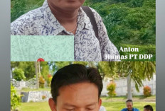 Nama PT DDP Diseret Isu Banjir Bandang, Perusahaan : Tuduhan Itu Tidak Berdasar