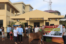 Polda Sembelih 30 Hewan Kurban, Dagingnya Diberikan pada Warga Kota Bengkulu di Lokasi Ini