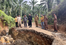 Bupati Cek Jalan Amblas,   Langsung Janjikan Perbaikan