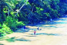 Warga BS Terseret Arus Sungai Belum Ditemukan, Pencarian Dilakukan hingga ke Lokasi Ini 