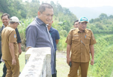  Bupati Benteng Tinjau Akses Jalan Alternatif   