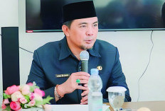 Manfaatkan Peluang Ekspor Ikan Hias, Ini Pernyataan Kepala DKP Provinsi Bengkulu