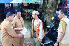 Parkir dan Lapak Pasar Panorama Digratiskan