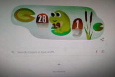 Rayakan Tahun Kabisat, Katak Hijau Tampil di Google Doodle,  Pengertian dan Sejarahnya 