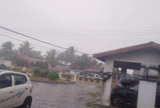  Angin Kencang Masih Melanda   Mukomuko, Warga Diimbau Waspada, Begini Caranya