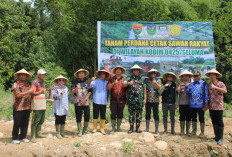 Dukung Swasembada Pangan, Kodim 0425/Seluma Dampingi Program Cetak Sawah Rakyat