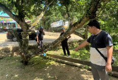 Ditikam Teman, Pelajar di Benteng Dilarikan ke RS