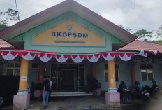  Total Kebutuhan PPPK Paruh   Waktu di Kepahiang Segini