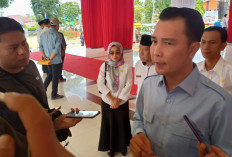  327 Honorer di Rejang Lebong   Diusulkan Jadi PPPK Ini