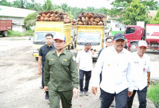 Wakil Gubernur Bengkulu Sidak PT SAP Mukomuko, Tegur Pelanggaran Harga TBS dan Limbah Sawit