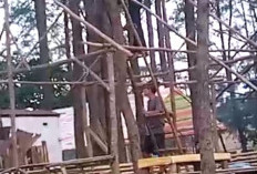 Ada Laporan Warga Buat Pondok dengan Menebang Pohon, Pemkot Verifikasi Dugaan Kerusakan RTH Pantai Panjang