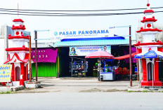 17 Lampu Baru Makin Terangi Pasar Panorama Kota Bengkulu