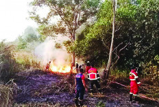 Damkar Pantau Titik Rawan Kebakaran, Di Sini Lokasinya di Kota Bengkulu