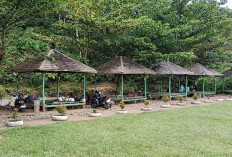 Pemdes Rindu Hati Dorong   Pengembangan Destinasi Wisata