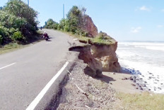 Abrasi Makin Parah, Eks Jalinbar di Bengkulu Utara Nyaris Putus