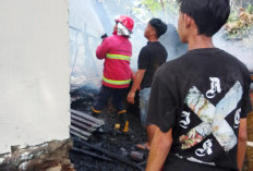Kebakaran Rumah di Simpang Gepeng, Damkar Bergerak Cepat Padamkan Api 