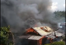 Dilalap Sijago Merah, 1 Unit Rumah Ludes Terbakar