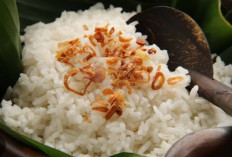 Makan Nasi Dingin  Bikin Tubuh Lebih Sehat? Ini Penjelasannya  