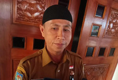 4.471 Honorer di Pemprov Bengkulu Diusulkan Jadi PPPK Paruh Waktu: Jika Disetujui, Segini Gajinya