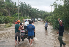 2 Hari Jalan Lintas   Terendam Banjir Rob, Ini Akibatnya