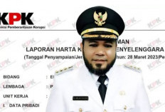 Helmi Hasan, Walikota 2 Periode dan Calon Gubernur Bengkulu, Segini Harta Kekayaannya