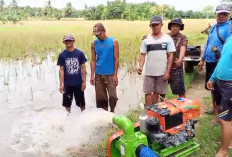 28 Kelompok Tani Terima Bantuan Ini