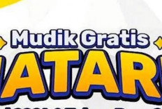 Kemenhub Sediakan 33 Ribu Kuota Mudik Gratis, Menhub: Puncak Mudik 24 Desember 