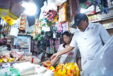 Wagub Sidak Pasar Panorama Bengkulu, Cabai, Bawang dan Minyak Goreng Mahal