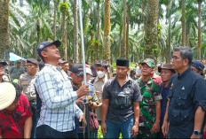 Koordinat Batas HGU PT Agricinal di BU Segini