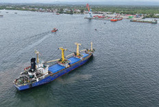 Kapal Muatan 3.500 MT, Mulus   Lintasi Alur Pelabuhan Pulau Baai