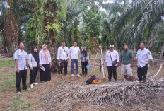  Dinas Perkim Mukomuko Cek   Lokasi Pengadaan Tanah TPST, Ini Lokasinya