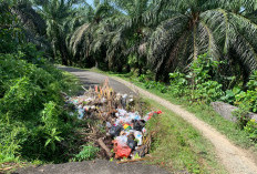 Lubang Jalan di Padang Serasan Jadi Tempat Pembuangan Sampah, Warga Harap Perbaikan Segera Dilakukan